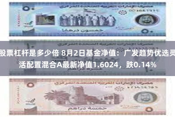 股票杠杆是多少倍 8月2日基金净值：广发趋势优选灵活配置混合A最新净值1.6024，跌0.14%