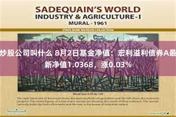 炒股公司叫什么 8月2日基金净值：宏利溢利债券A最新净值1.0368，涨0.03%