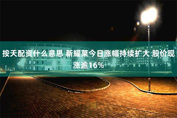 按天配资什么意思 新耀莱今日涨幅持续扩大 股价现涨逾16%