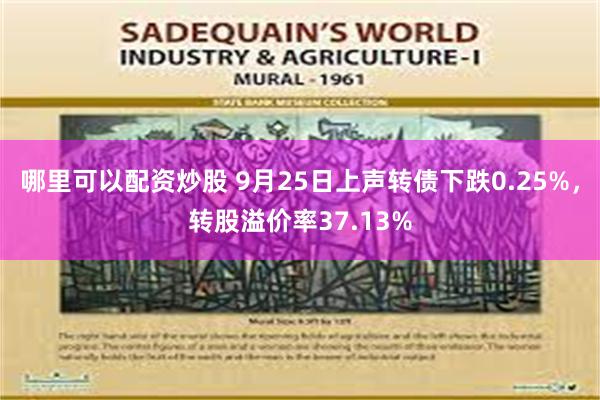 哪里可以配资炒股 9月25日上声转债下跌0.25%，转股溢价率37.13%