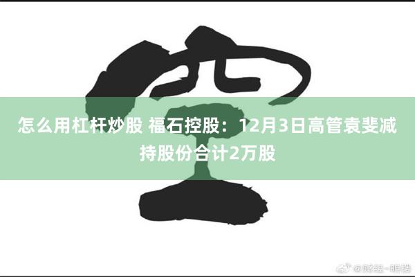 怎么用杠杆炒股 福石控股：12月3日高管袁斐减持股份合计2万股