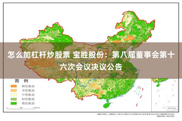 怎么加杠杆炒股票 宝胜股份：第八届董事会第十六次会议决议公告