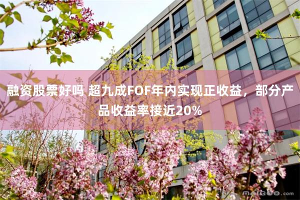 融资股票好吗 超九成FOF年内实现正收益，部分产品收益率接近20%