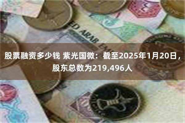 股票融资多少钱 紫光国微：截至2025年1月20日，股东总数为219,496人