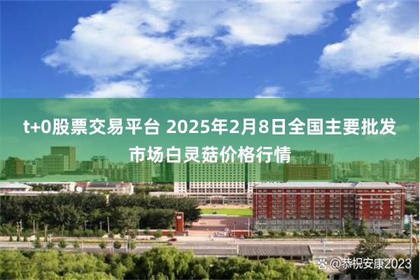 t+0股票交易平台 2025年2月8日全国主要批发市场白灵菇价格行情