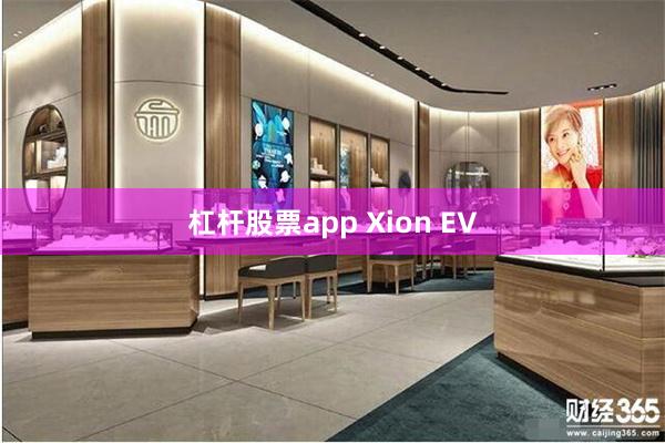 杠杆股票app Xion EV